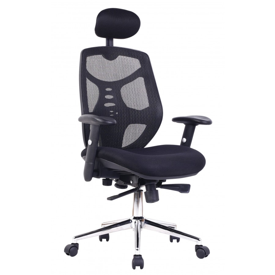 Polaris Mesh Executive Office Chair